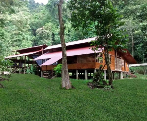 Safio. Una Casa En El Paraiso. นูกี ภายนอก รูปภาพ